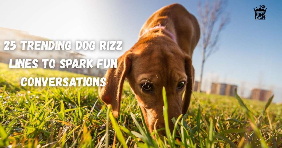 Dog Rizz Lines