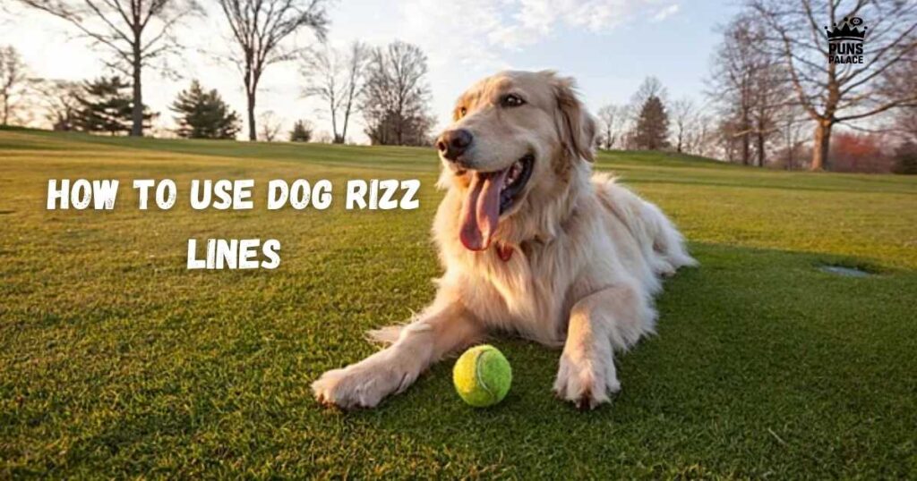 How to Use Dog Rizz Lines